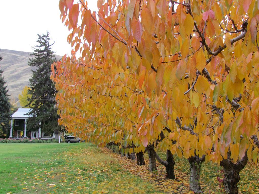 Warm Springs Inn & Winery Sunnyslope Bagian luar foto