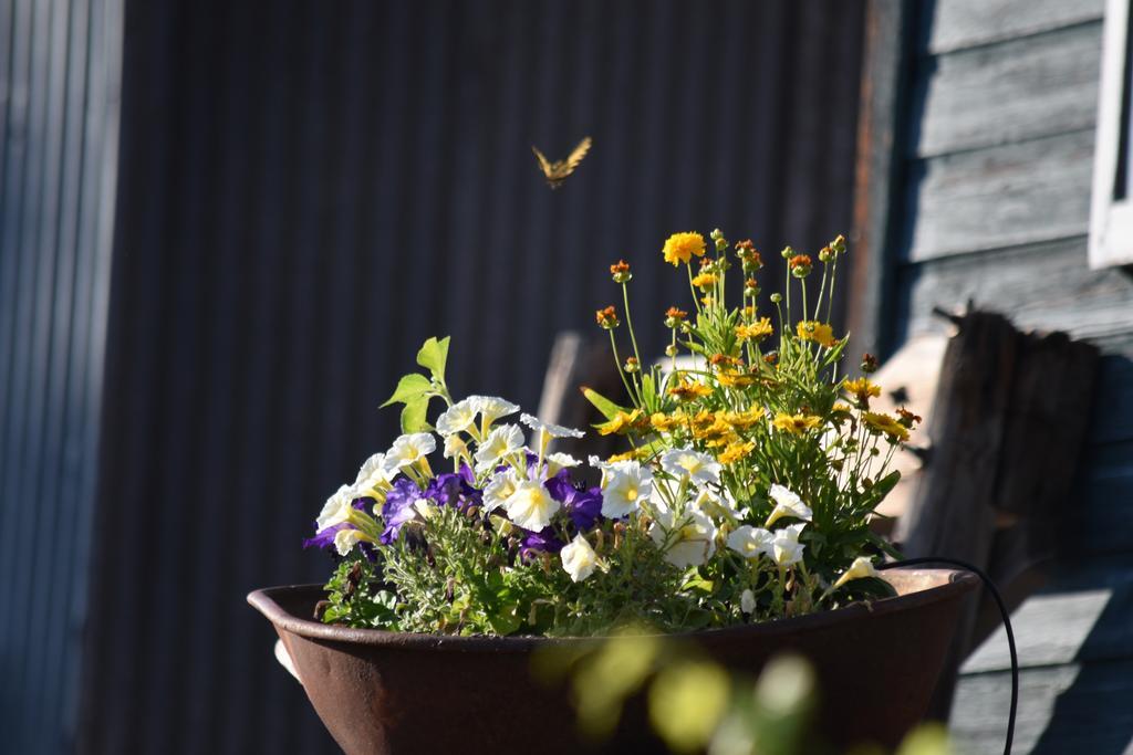 Warm Springs Inn & Winery Sunnyslope Bagian luar foto